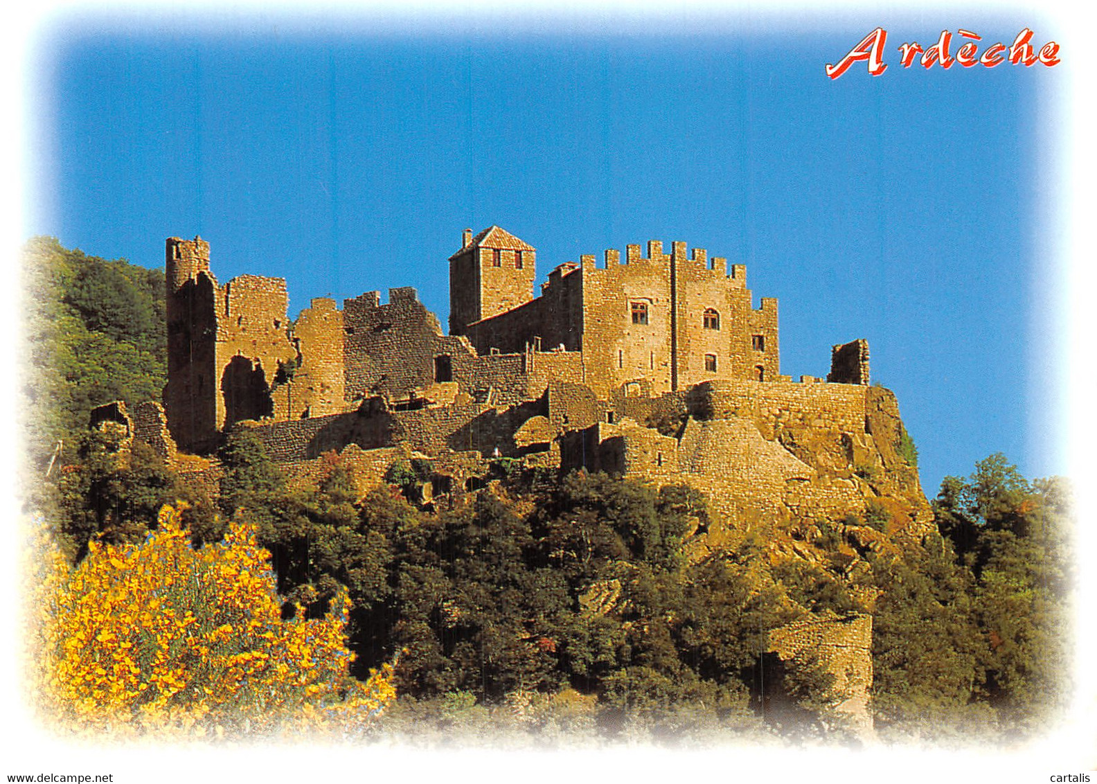 couleur horiz (23).jpg